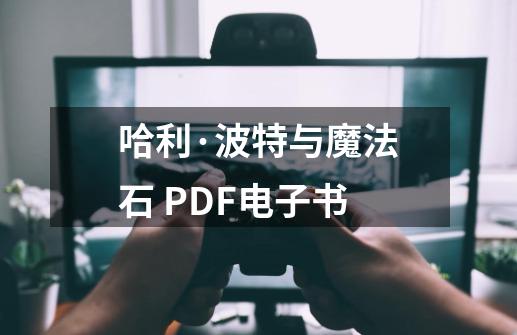 哈利·波特与魔法石 PDF电子书-第1张-游戏信息-智辉信息