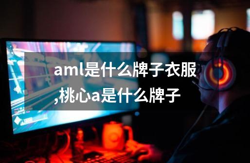 aml是什么牌子衣服,桃心a是什么牌子-第1张-游戏信息-智辉信息