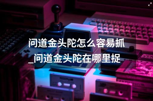 问道金头陀怎么容易抓_问道金头陀在哪里捉-第1张-游戏信息-智辉信息