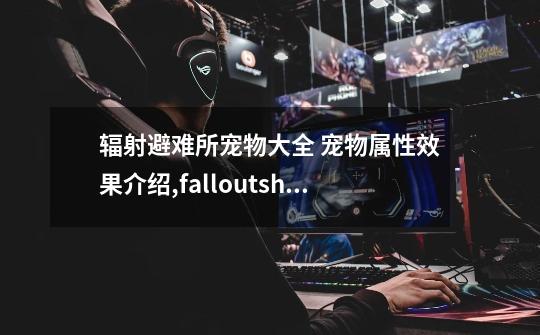 辐射避难所宠物大全 宠物属性效果介绍,falloutshelter攻略switch-第1张-游戏信息-智辉信息