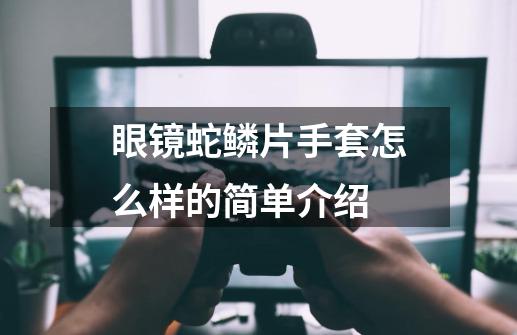 眼镜蛇鳞片手套怎么样的简单介绍-第1张-游戏信息-智辉信息