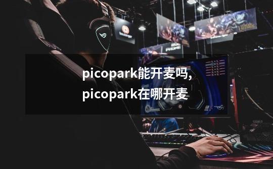 picopark能开麦吗,picopark在哪开麦-第1张-游戏信息-智辉信息