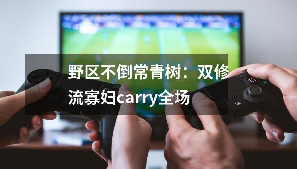 野区不倒常青树：双修流寡妇carry全场-第1张-游戏信息-智辉信息