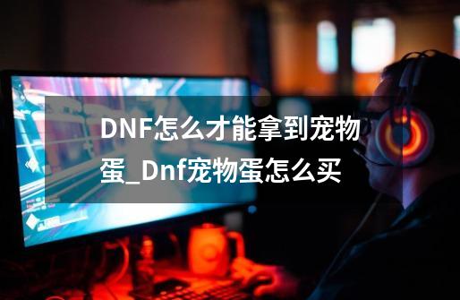 DNF怎么才能拿到宠物蛋_Dnf宠物蛋怎么买-第1张-游戏信息-智辉信息