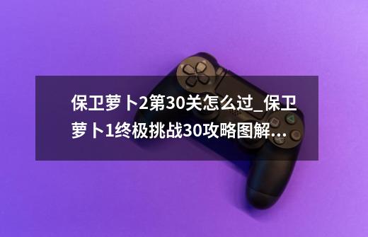 保卫萝卜2第30关怎么过_保卫萝卜1终极挑战30攻略图解法-第1张-游戏信息-智辉信息