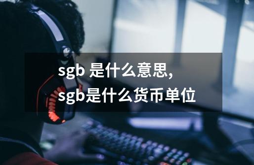 sgb 是什么意思,sgb是什么货币单位-第1张-游戏信息-智辉信息