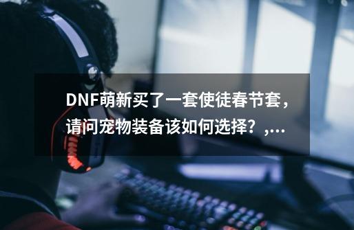 DNF萌新买了一套使徒春节套，请问宠物装备该如何选择？,dnf宠物装备优先选哪个-第1张-游戏信息-智辉信息