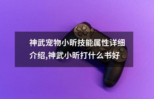 神武宠物小昕技能属性详细介绍,神武小昕打什么书好-第1张-游戏信息-智辉信息