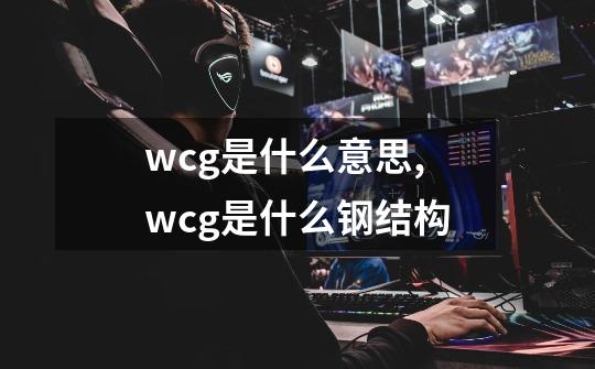 wcg是什么意思?,wcg是什么钢结构-第1张-游戏信息-智辉信息