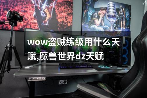 wow盗贼练级用什么天赋,魔兽世界dz天赋-第1张-游戏信息-智辉信息