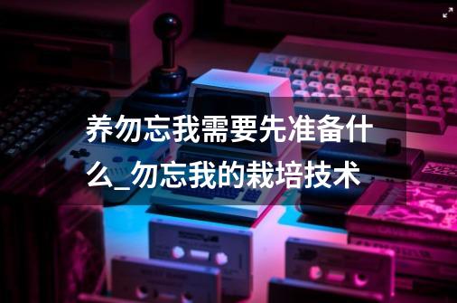 养勿忘我需要先准备什么_勿忘我的栽培技术-第1张-游戏信息-智辉信息